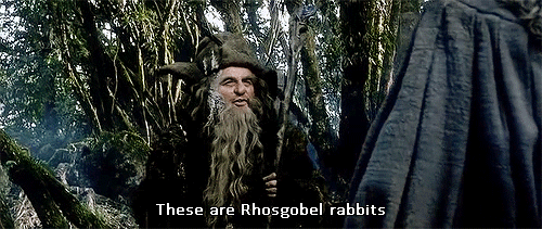 Rhosgobel Rabbits
